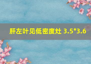 肝左叶见低密度灶 3.5*3.6